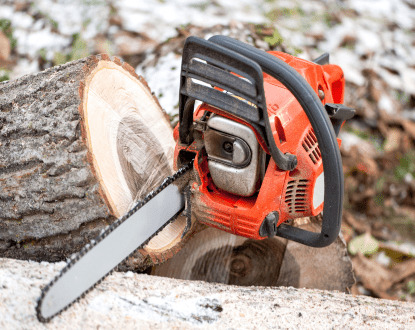 TREE REMOVAL